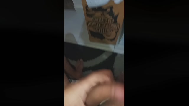 Gatogostoso24  13-08-2022